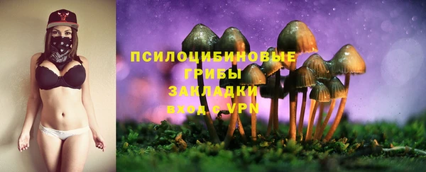 гашик Зеленодольск