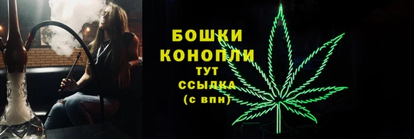 гашик Зеленодольск