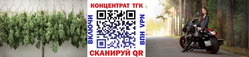 ТГК Wax  Купить где  Чаплыгин 